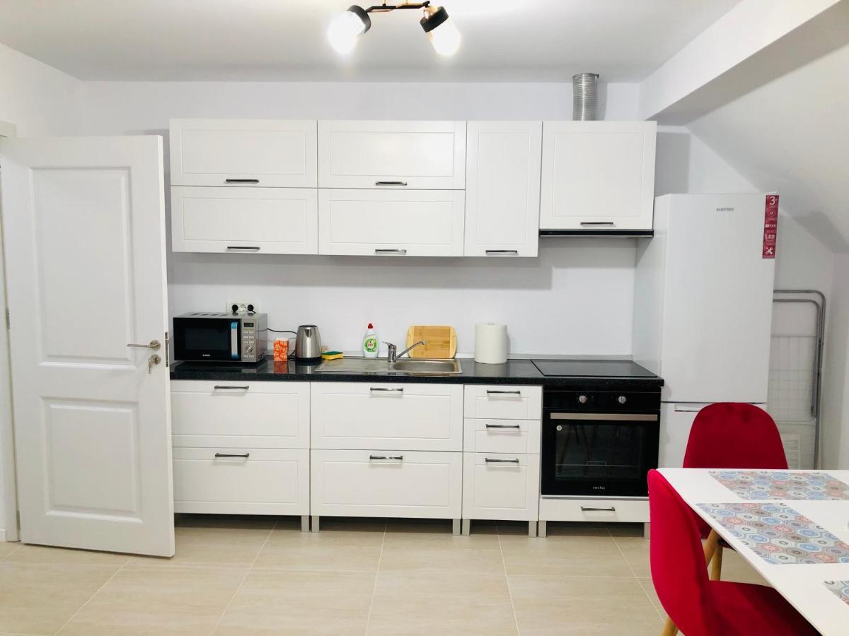 New And Modern Apartments In Villa, Near City Center M36 Timişoara Eksteriør billede
