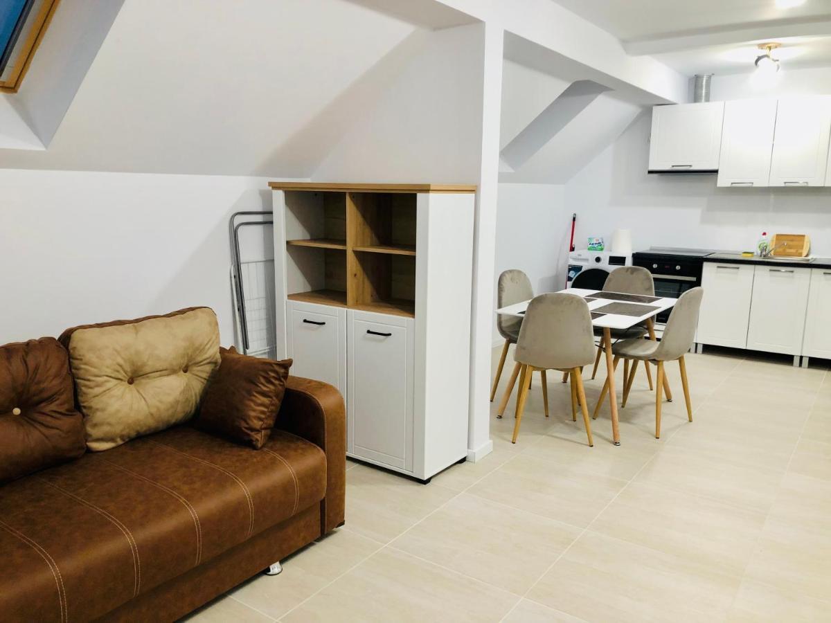 New And Modern Apartments In Villa, Near City Center M36 Timişoara Eksteriør billede