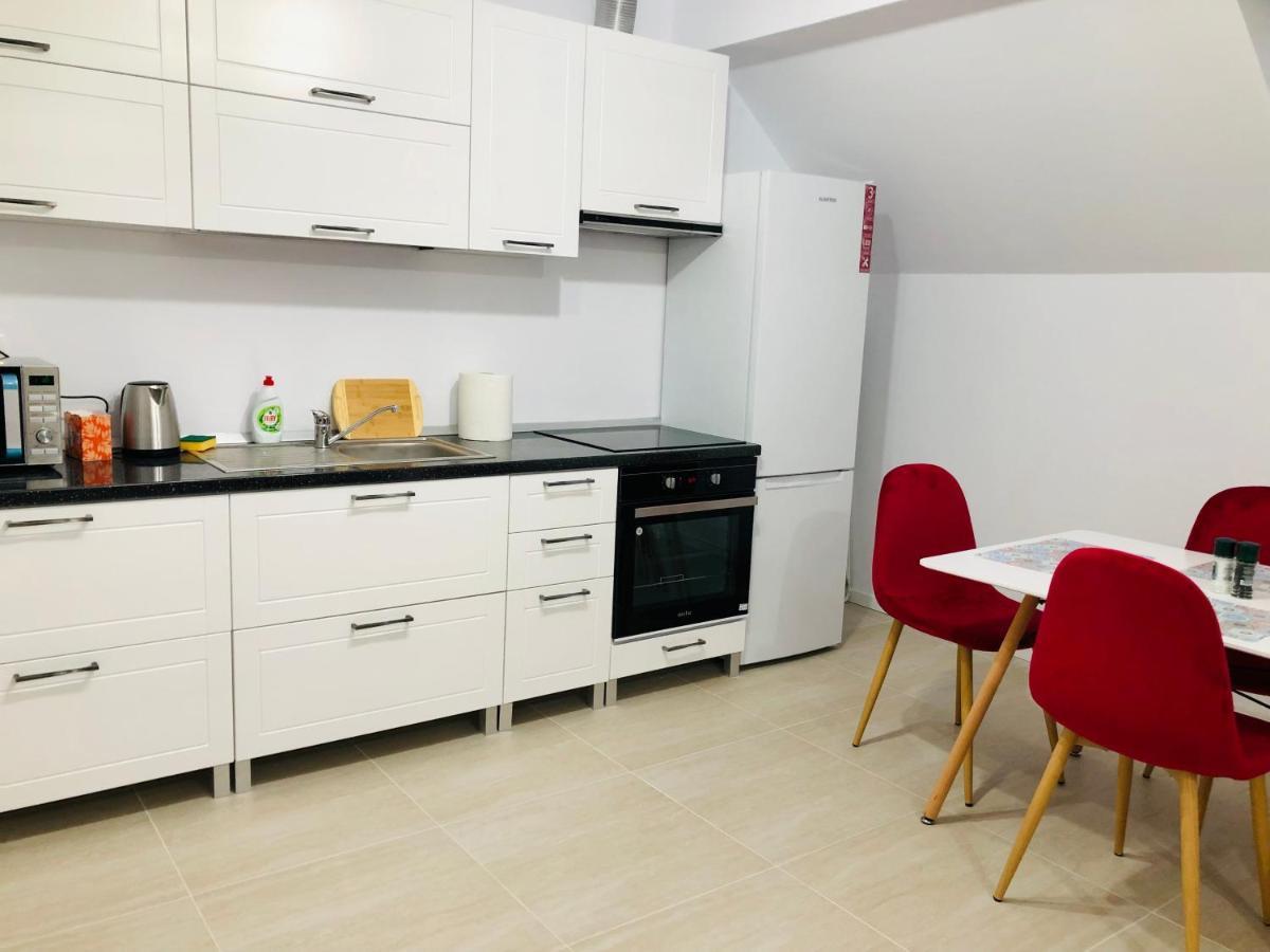 New And Modern Apartments In Villa, Near City Center M36 Timişoara Eksteriør billede