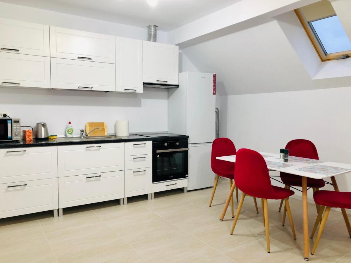 New And Modern Apartments In Villa, Near City Center M36 Timişoara Eksteriør billede