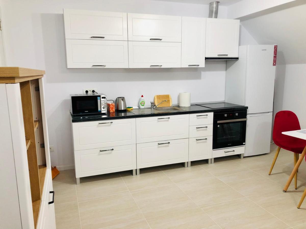 New And Modern Apartments In Villa, Near City Center M36 Timişoara Eksteriør billede