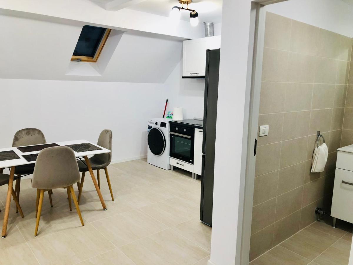 New And Modern Apartments In Villa, Near City Center M36 Timişoara Eksteriør billede