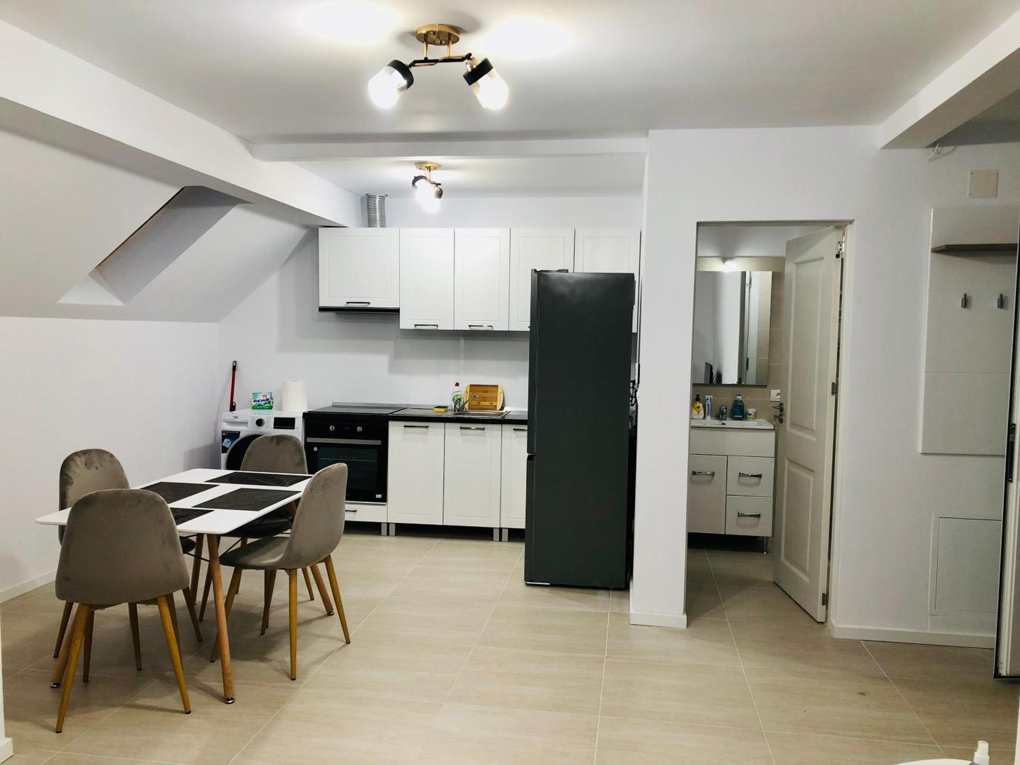 New And Modern Apartments In Villa, Near City Center M36 Timişoara Eksteriør billede